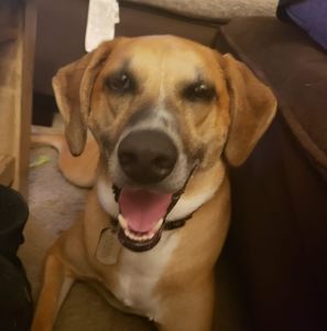 Meet your Posher, Cecilia